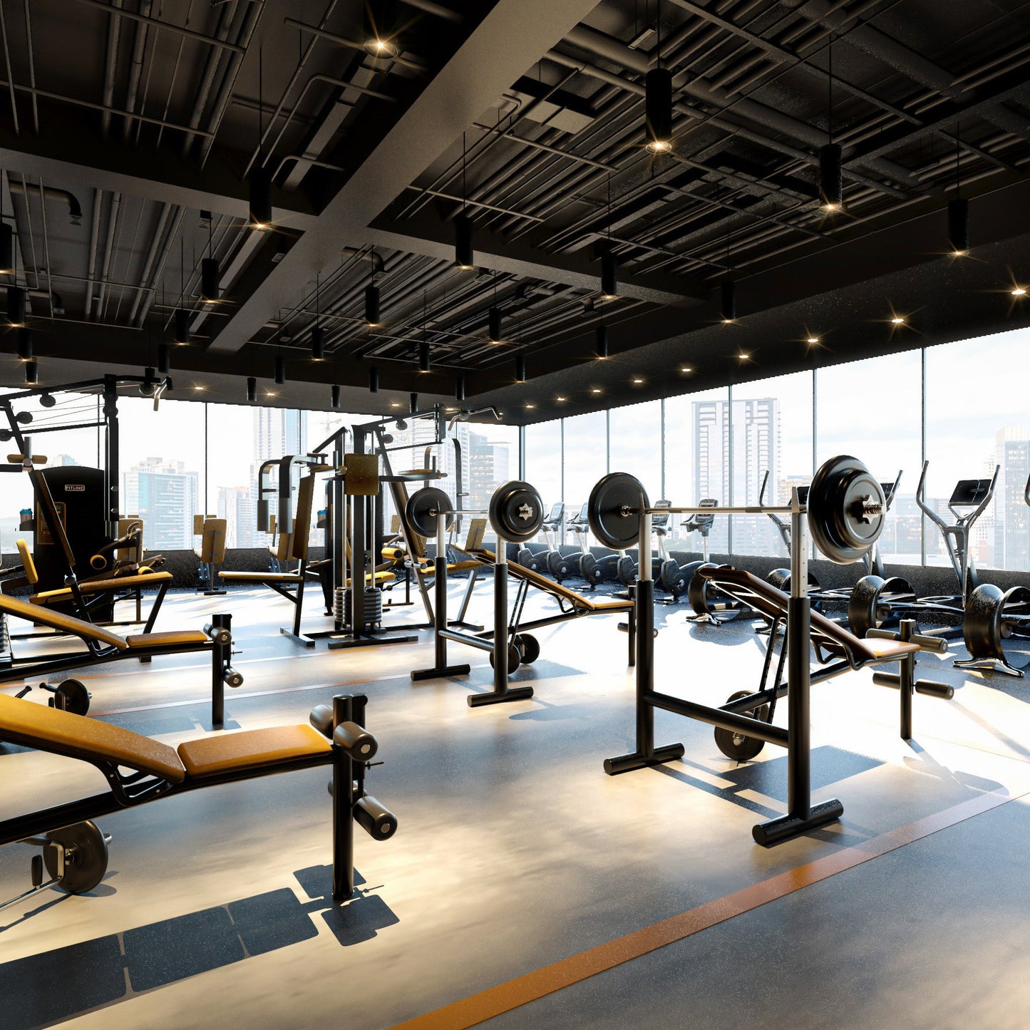 Commercial GYM